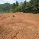 금대리828 이미지