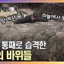 마당부터 방안까지 마을을 점령한 110개 바위의 정체는? 이미지