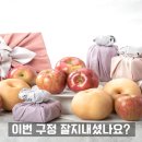 &#34;저걸 누가 쓰냐&#34;며 버린 사람들 후회하게 만든 과일망 활용법 이미지