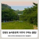 스페이스엑스공인중개사사무소 | 강원도 농어촌유학 거주지 구하는 꿀팁! 아파트 vs 주택 vs 다세대 장단점 비교 (feat. 리얼 발품 후기)
