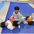 백석 더 혼 태권도 이미지