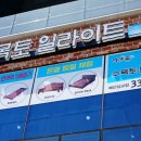 수목토일라이트 이미지