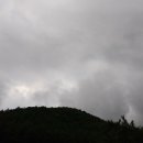 만물드림