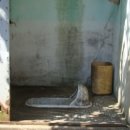 서우봉사우나 이미지