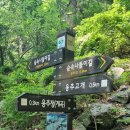 숲속나들이길 이미지