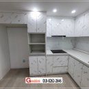 광진 pet 이미지