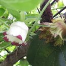 까치농장 이미지