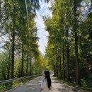 불갑저수지제당공원 | 가을 영광여행 메타세콰이아길, 불갑저수지수변공원 방문한 솔직후기