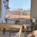 줄라이앤어거스트
