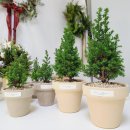 라온아뜰리에 이미지