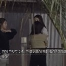 모던블루