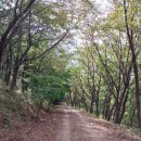갈맷길(9코스) 이미지