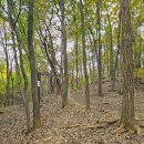 백마산주유소 이미지