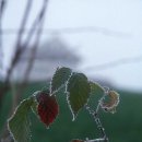 남당리횟집 이미지