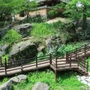 무 진 정 이미지