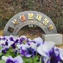 천사꽃펜션 이미지