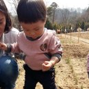 준영농장 Daum카페