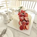 카페벨라 | 홍대 합정 카페 허밍벨라 케이크 주문 후기