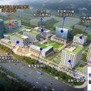 내동목련상가 이미지