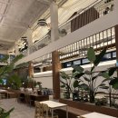 오렌지 애견 클럽 | [경기광주애견동반카페] 그랜마스 대형 브런치 카페 밤 무드