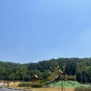 노루어린이공원 | 🎪분당 율동공원 캠핑장 임시개장 전 현장 방문기 (2025년 6월 5일 기준)