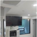 한가로이 경주 이미지