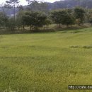 산마을 나드리 이미지