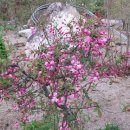 단지골 농장 이미지