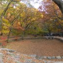[서울] 서울 도심에 숨겨진 아름다운 별천지 ~ 부암동 백석동천, 백사실계곡 늦가을 나들이 이미지