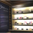 송파책박물관 Daum카페