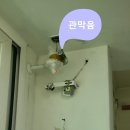 북안가스