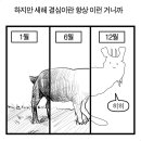나나분식 이미지