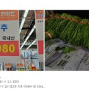 국민마트농수축산직판장 이미지