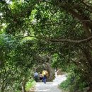 거제지심도 이미지