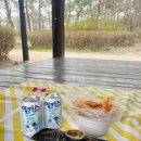 김밥한입 이미지