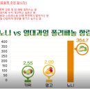 비웰마켓 네이버블로그