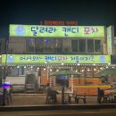 달려라포차 Daum카페