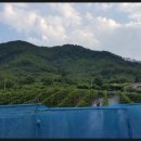 현서농장 이미지