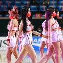 창원청룡체육관 이미지