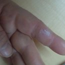 오디하우스 이미지