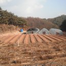 달마농원 이미지
