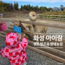 슬아슈퍼 | 경기도 화성 3살 아이랑 갈만한곳 센트럴곤충생태농장 동물체험 추천
