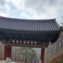 정혜사 Daum카페