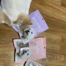 트릿츄잇 이미지