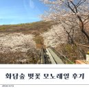 화담숲 벚꽃 시즌 주말 방문 모노레일 후기 _feat.주차,꿀팁,식당후기까지(번지없는주막)