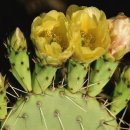 송현교회 이미지