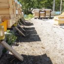 감자 바우 이미지