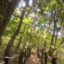 삼화매점 | 대구 비슬산 나홀로 산행, 10번 쉬어 간 천년의 수행길 (왕복 4시간 현실 찐후기)