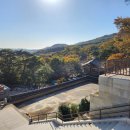 정글펜션 이미지