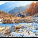 선인민박 이미지